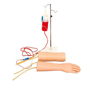 手部、肘部組合式靜脈（血）訓(xùn)練模型