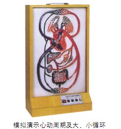 大、小循環(huán)電動(dòng)模型